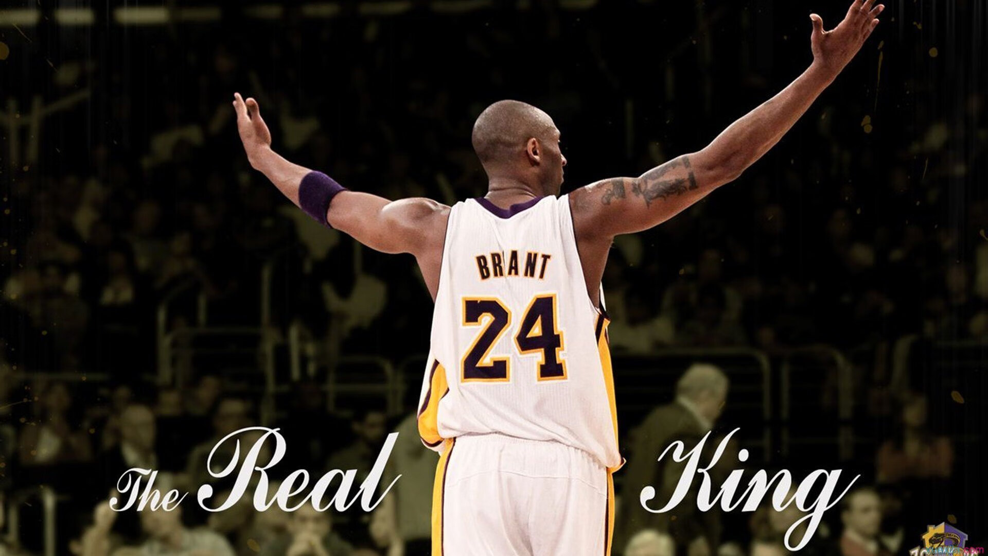 勇士数据师参与ChatGPT训练，推动球场策略辅助智能化，勇士训练赛