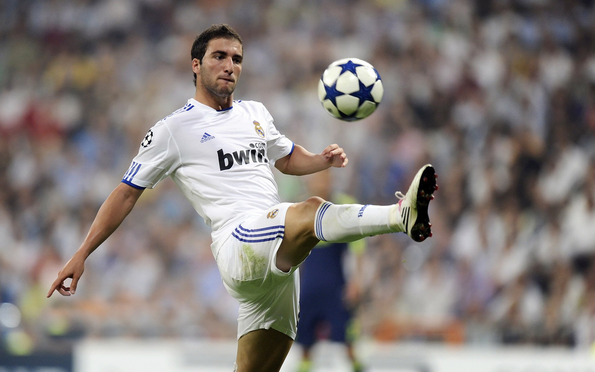 浮潜海底漂流：海底世界的奇妙冒险，浮潜介绍